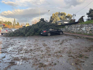 Gebze’de fırtınada iki otomobilin üzerine ağaç devrildi